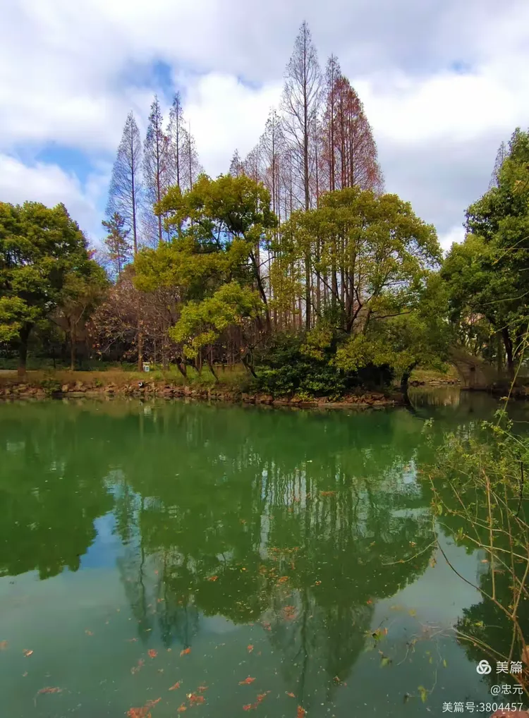 罗溪公园攝游篇